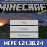 Minecraft v1.21.30.24 APK