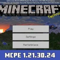 Minecraft v1.21.30.24 APK